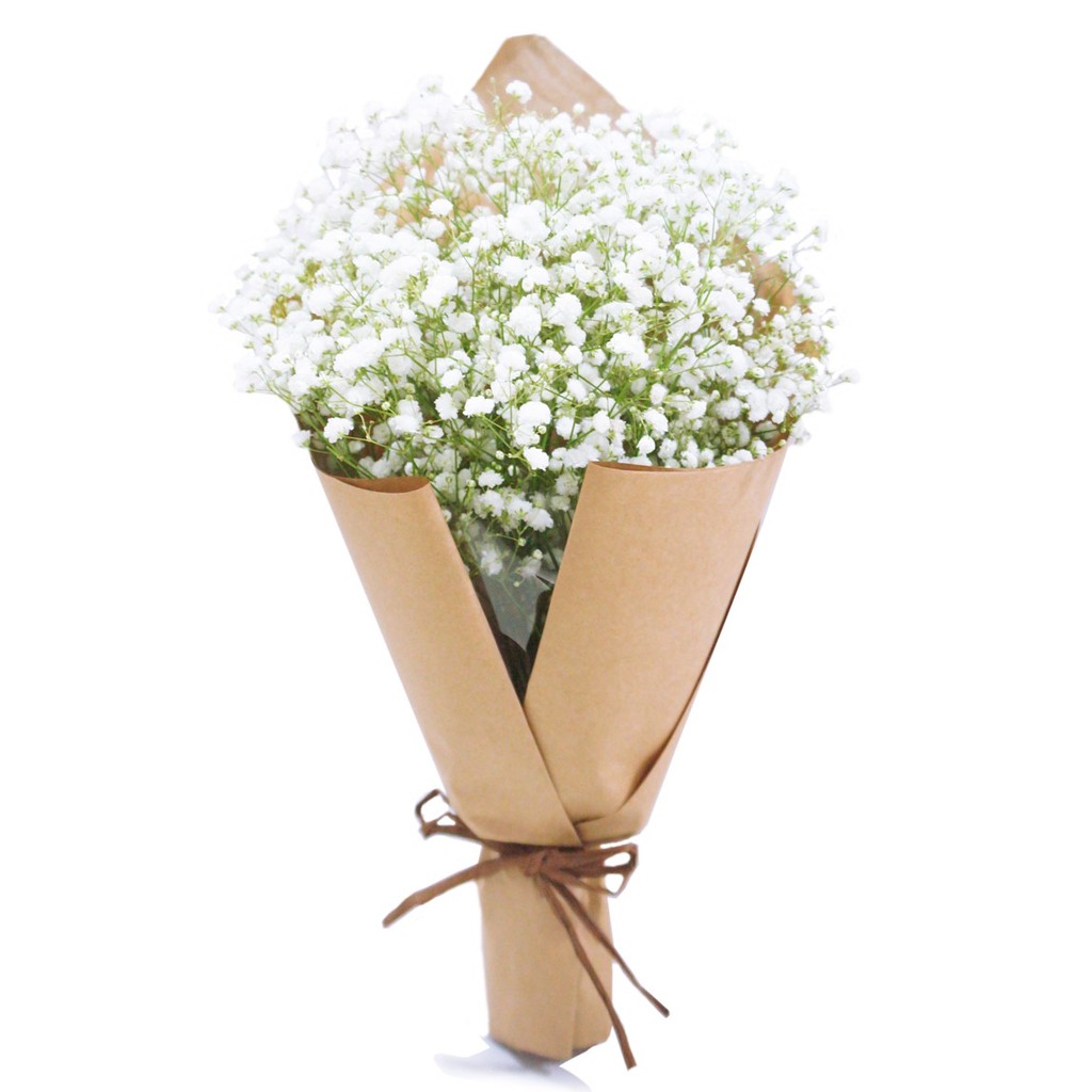 Baby S Breath Bouquet Fresh Flowers Shopee Singapore