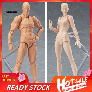 ♚MXWJ♚Drawing Sketch Male Female Movable Doll Action Artist Figure Archetype Body