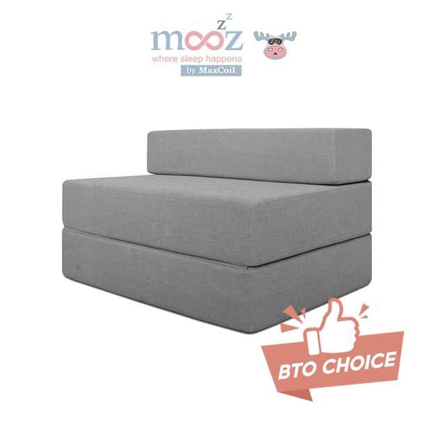 2 Seater Sofa Bed Singapore is rated the best in 03/2024 BeeCost