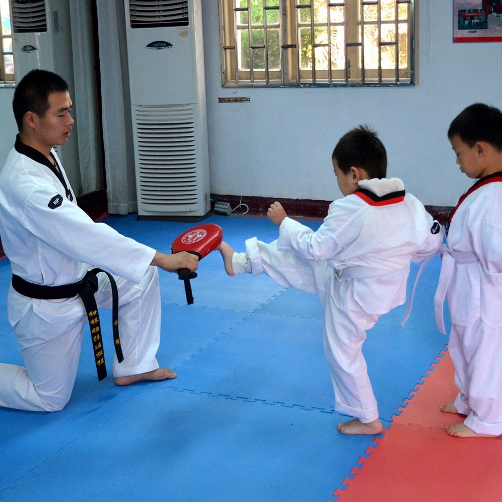 taekwondo kicking pads adidas