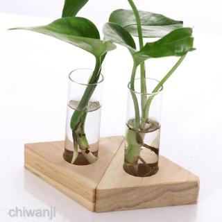 2pcs Planter Test Tube Flower Bud Vase Tabletop Glass Pots in Wooden Stand #8