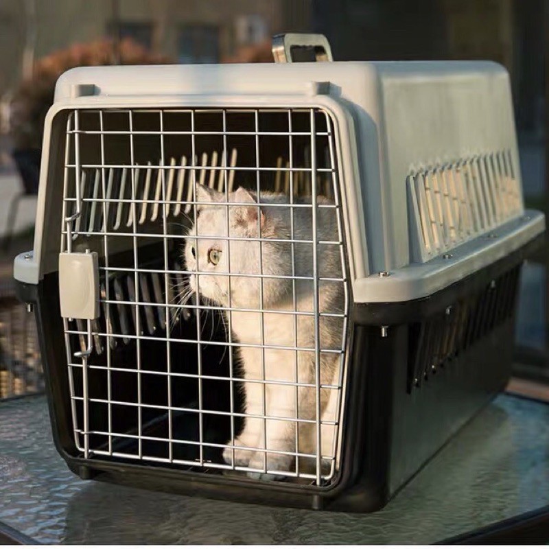 Cat carrier 3 sizes Standard IATA Compliant Pet Carrier Shopee Singapore