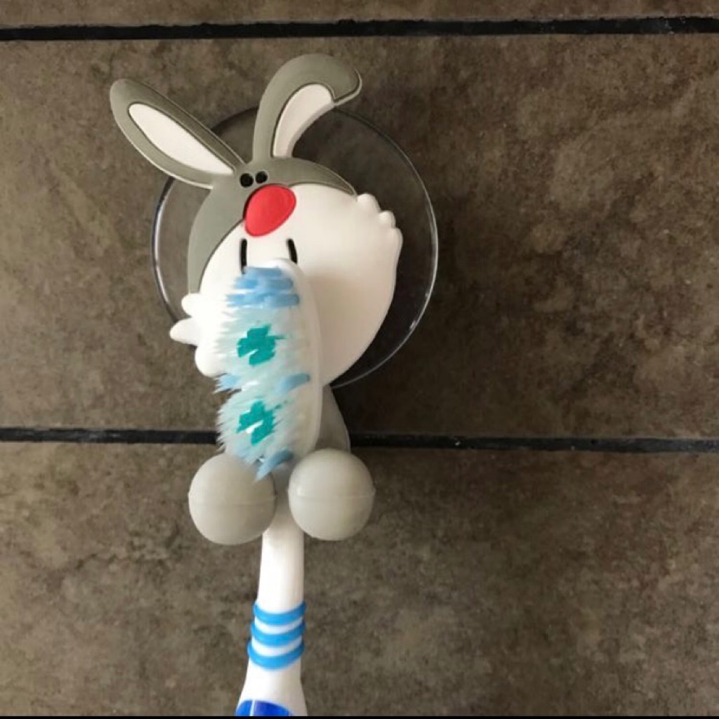 Cute Toothbrush Holder Shopee Singapore