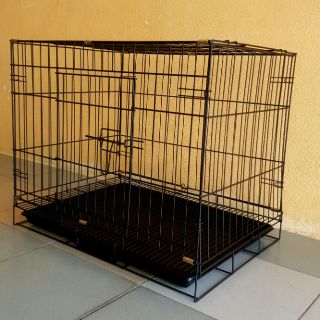 Sangkar Burung Besi  Padu  Saiz P 60 cm x L 43 cm x T 50 cm 