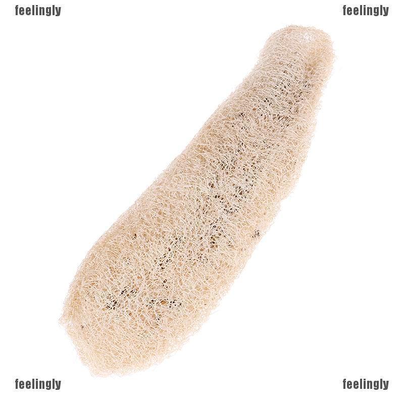 SUN Natural Luffa Loofah Antibacterial Bath Body Scrub L Shopee Singapore