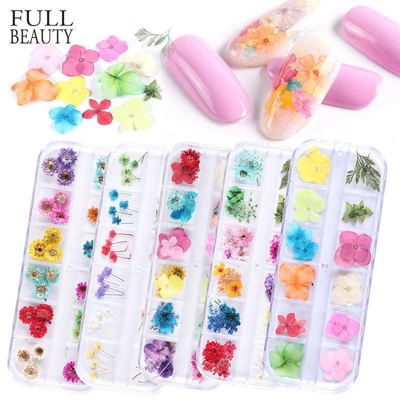 【FULL BEAUTY】Nail Dried Flower Real Floral 3D Nail Art ...