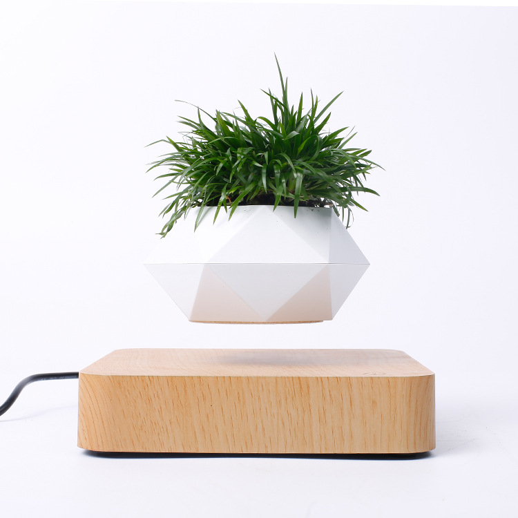 Levitating Air Bonsai Pot Rotation Flower Pot Planters Magnetic Levitation Suspension Floating Pot Potted Plant Shopee Singapore