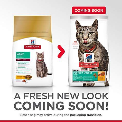 hill's science diet cat food