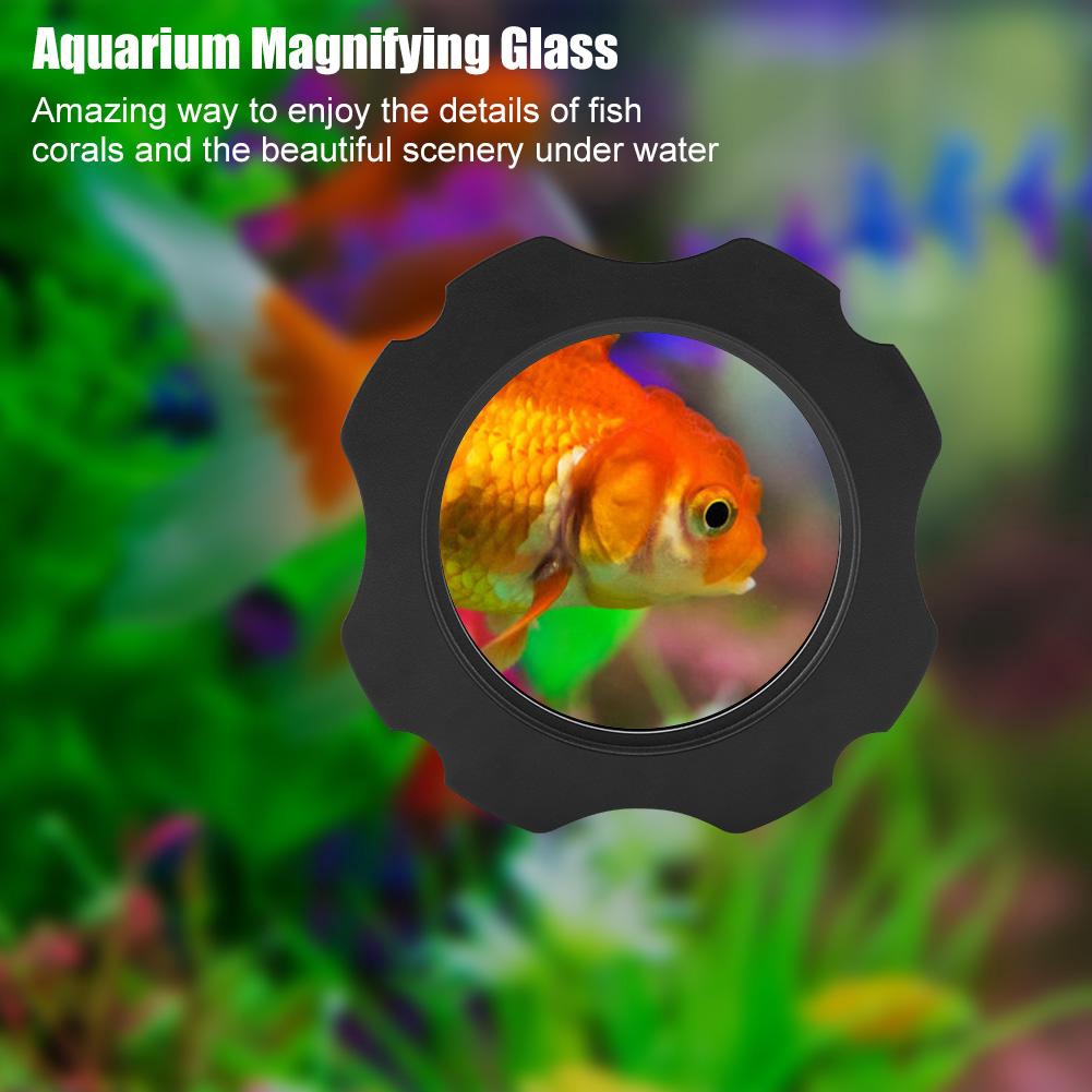 88 Aquarium Design Glass Thickness Terbaru