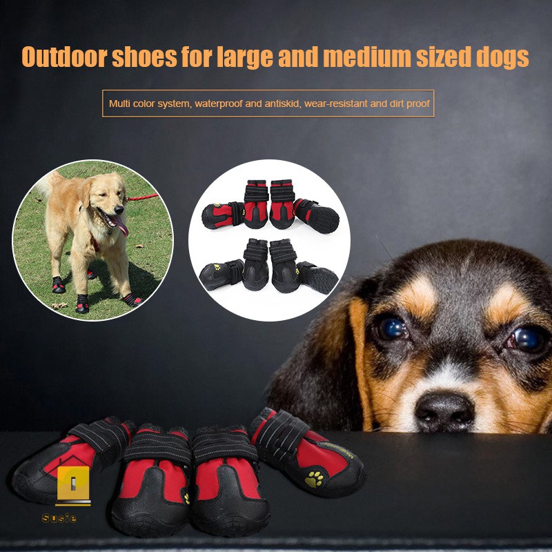 how do dog shoes fit