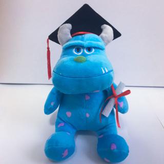 eeyore graduation plush