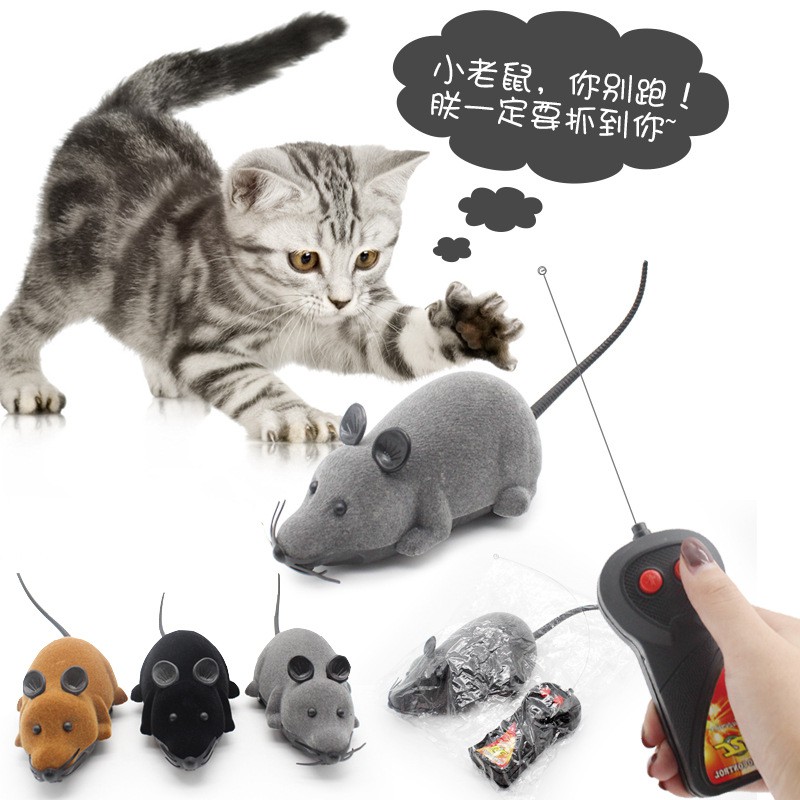 cat toy mouse remote controlled