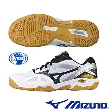 mizuno wave gate 4