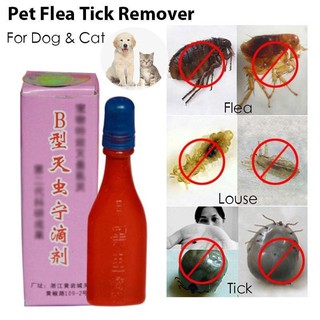 [B type] Cat Flea Anti Flea Flea Tick Flea Out Ubat Kutu 