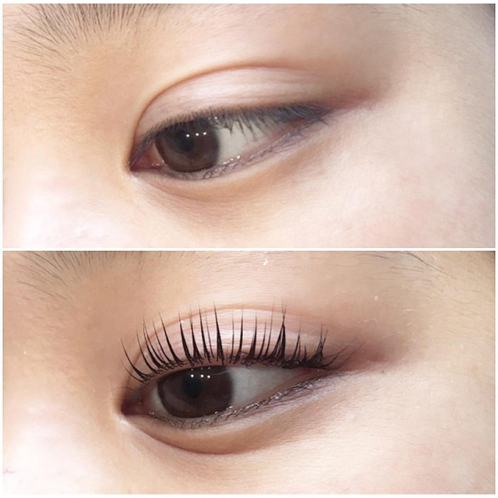 Refectocil Lash Lift Shopee Singapore