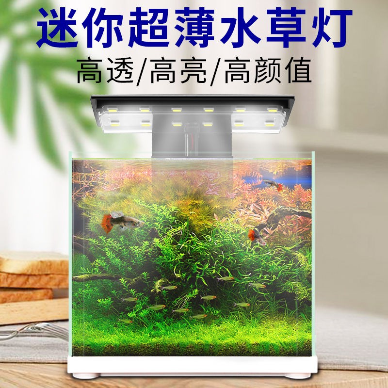 鱼缸灯疯狂水草鱼缸灯led防水专业照明灯专用草缸灯小型夹灯鱼缸水草灯 Shopee Singapore