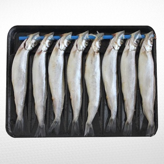 Dish The Fish Wild Shishamo Capelin 170gx2 Packs Shopee Singapore