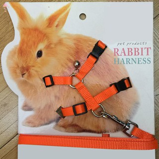 bunny harness and leash