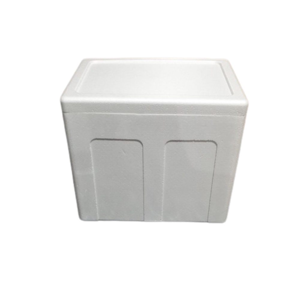 Styrofoam Box Ice box Foam Box Shopee Singapore