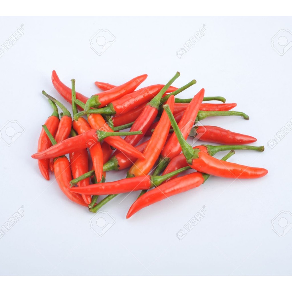 Fresh Red Chilli Padi 新鲜蔬菜指天椒 小米椒100g B10001 Shopee Singapore