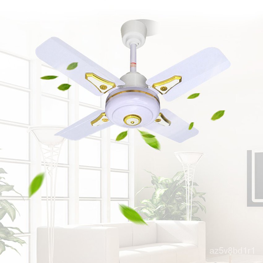 Mini Ceiling Fan With Light Singapore | Shelly Lighting