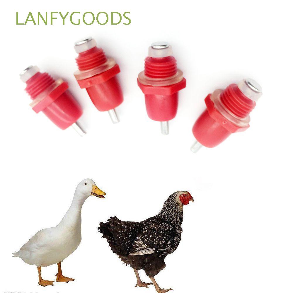 5 Pcs Farm Animal Hen Red Duck Feeder Chicken Water Nipple