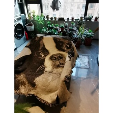bg