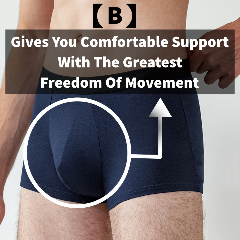 Image of Ice Silk Men Underwear | Male Briefs Boxer Shorts | Man Underpants Bamboo Fiber Renoma Style #6