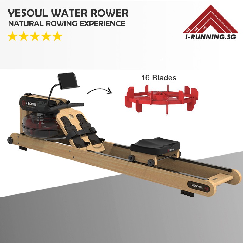 foldable water rower