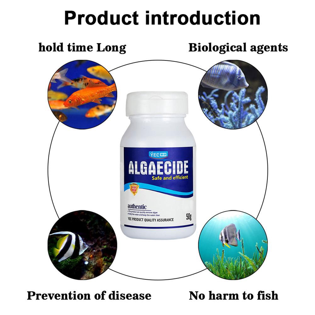 Only Algaecide Algae Moss Reduce Control Water Purification Safe Efficient Algaecide For Aquarium Pond Shopee Singapore