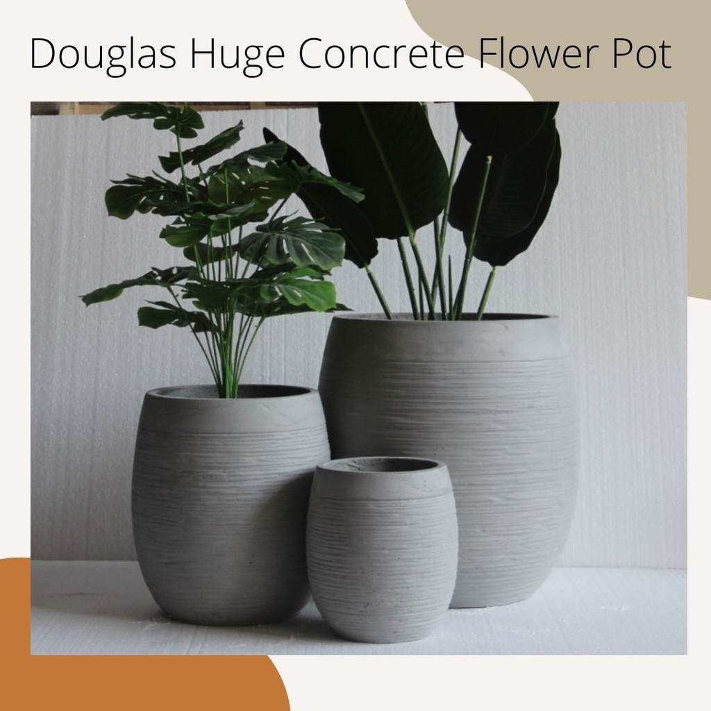 Nordic Douglas Huge Concrete Flower Pot / Big planter pot / Big flower pots  / Outdoor Huge Flower pot