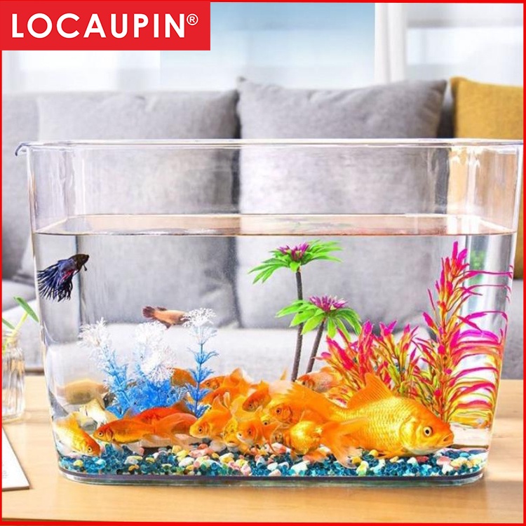 Locaupin Plastic Shatterproof Transparent Fish Tank Fish Bowl With