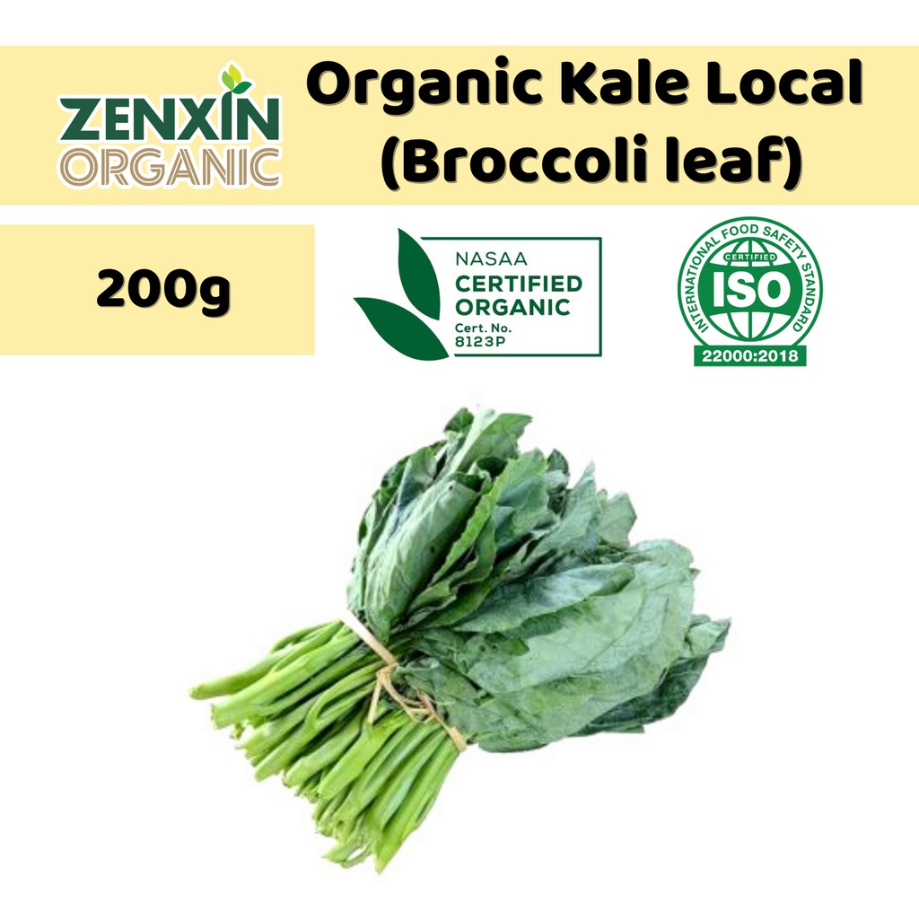 Organic Kale Local Broccoli Leaf 200g Malaysia Shopee Singapore