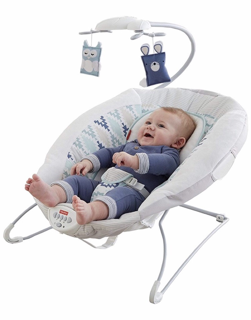 woodsy wonders deluxe bouncer