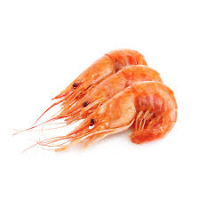 กุ้ง