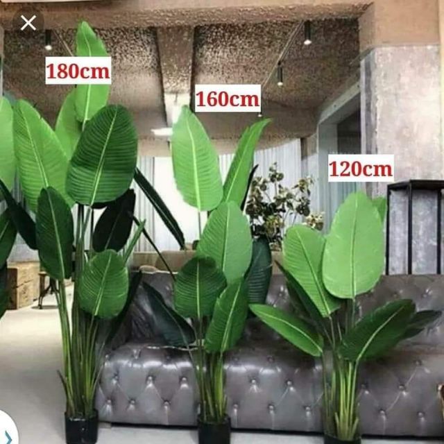 Shop Malaysia Artificial Banana Leaf Pokok Pisang Viral Shopee Singapore