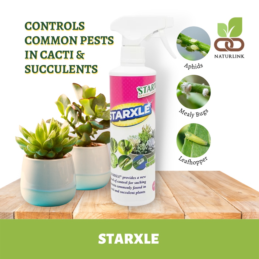 STARX STARXLE Spray (500ml) Kills Aphids, Mealy Bugs, Mites, Scales