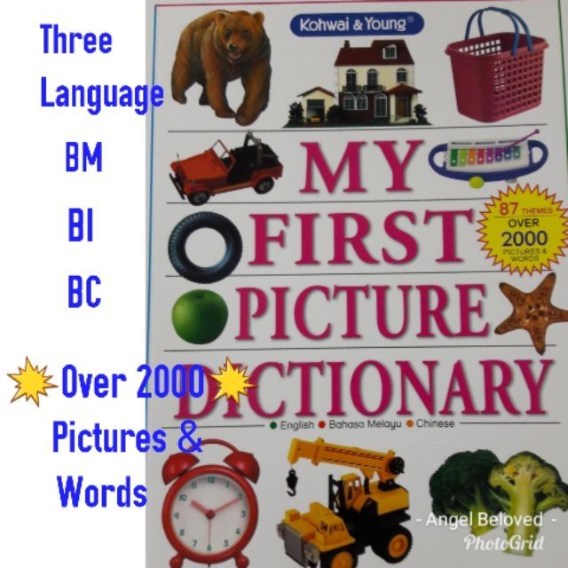 My First Picture Dictionary For Bahasa Malaysia With Suku Kata English Chinese Shopee Singapore