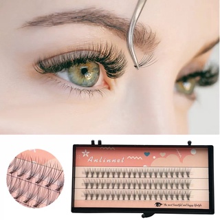 New Product Super Thick Hot Melt Flower Hair Grafting Eyelashes 10D Soft 10 Pieces 0.10 Self-Connection Style Single Cluster Planting