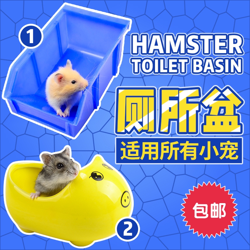 hamster potty