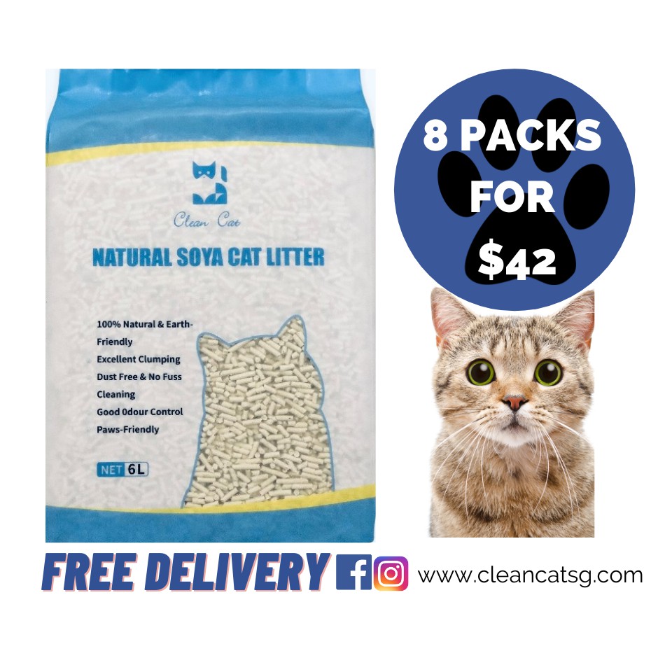 Clean Cat Cat Litter Soya 100 Natural Odour Control Premium Clumping Fast Absorbent Unscented 6 Litres Shopee Singapore