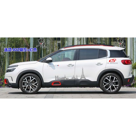 Tianyi C5 Aircross Car Stickers Pull Flowers Personalized Car