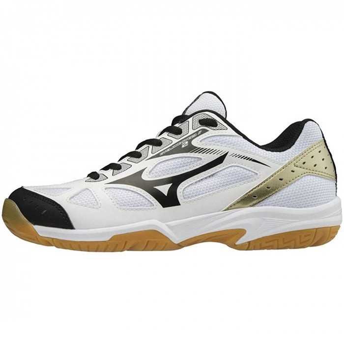 mizuno cyclone speed 2 volleyball shoes