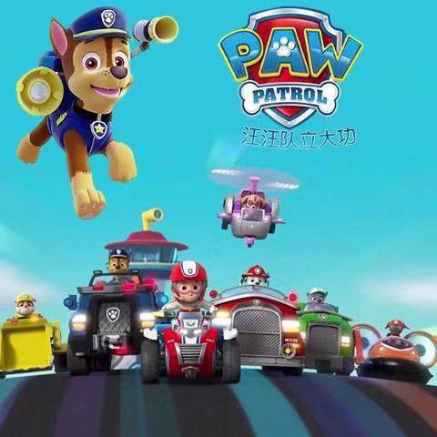 paw patrol auto set