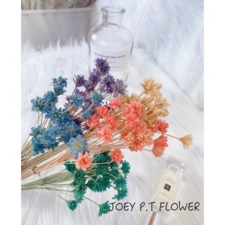 Preserved Flower Price And Deals Home Living Sept 2021 Shopee Singapore