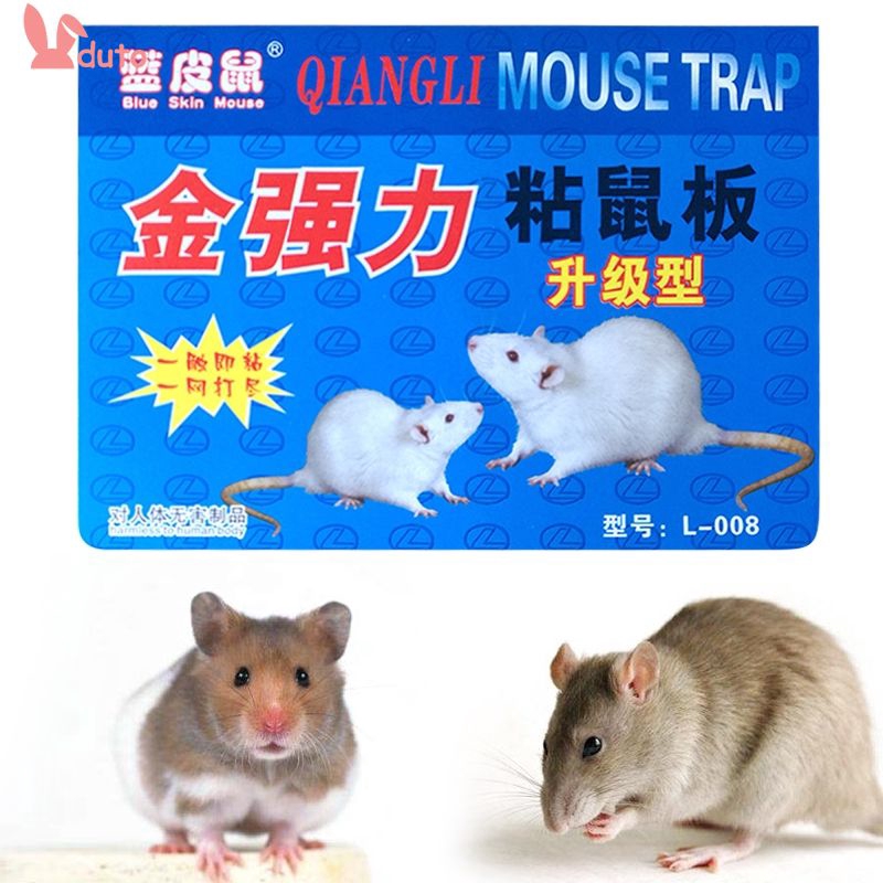 where sells mouse traps