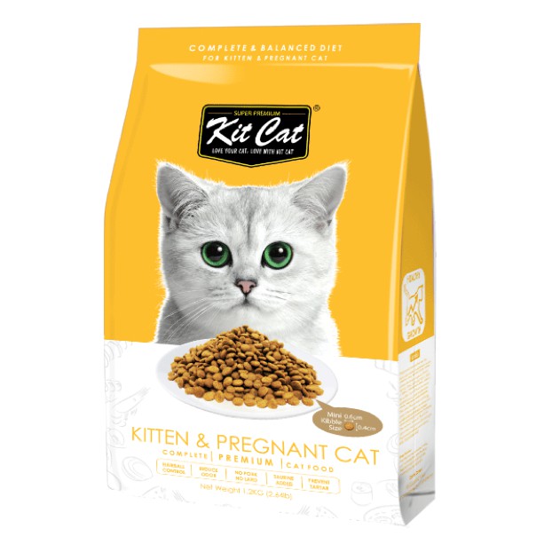 Feline Cuisine Kitten Price