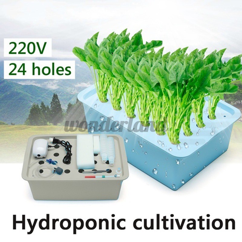 24 Holes Water Hydroponic System Grow Box Soilless Plant Culture Site Kits  220V | Shopee Singapore