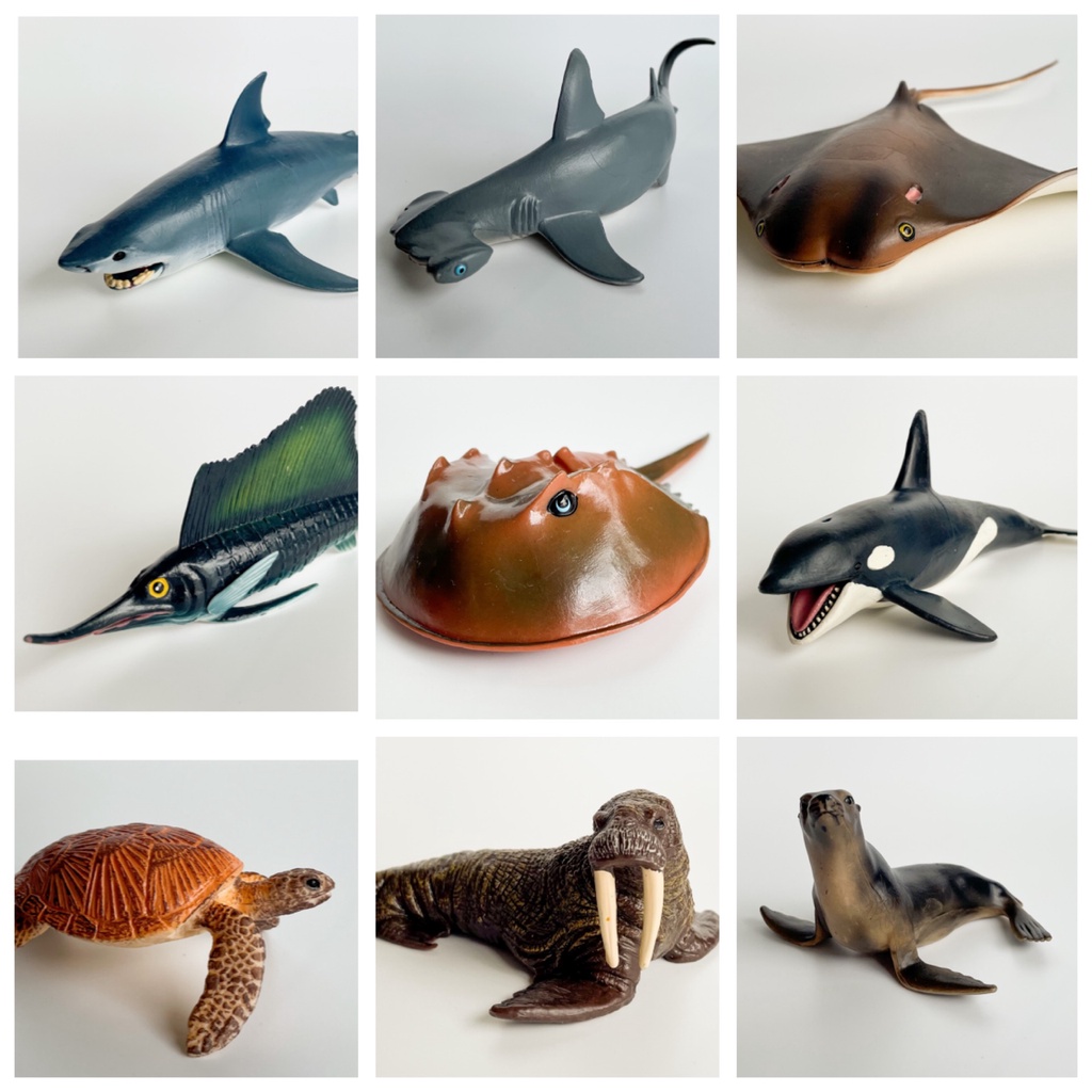 Educational Figurines Toy Set | Sea Animal | Montessori - Verbalisation and  Language - Nature - Socio- emotional | Shopee Singapore