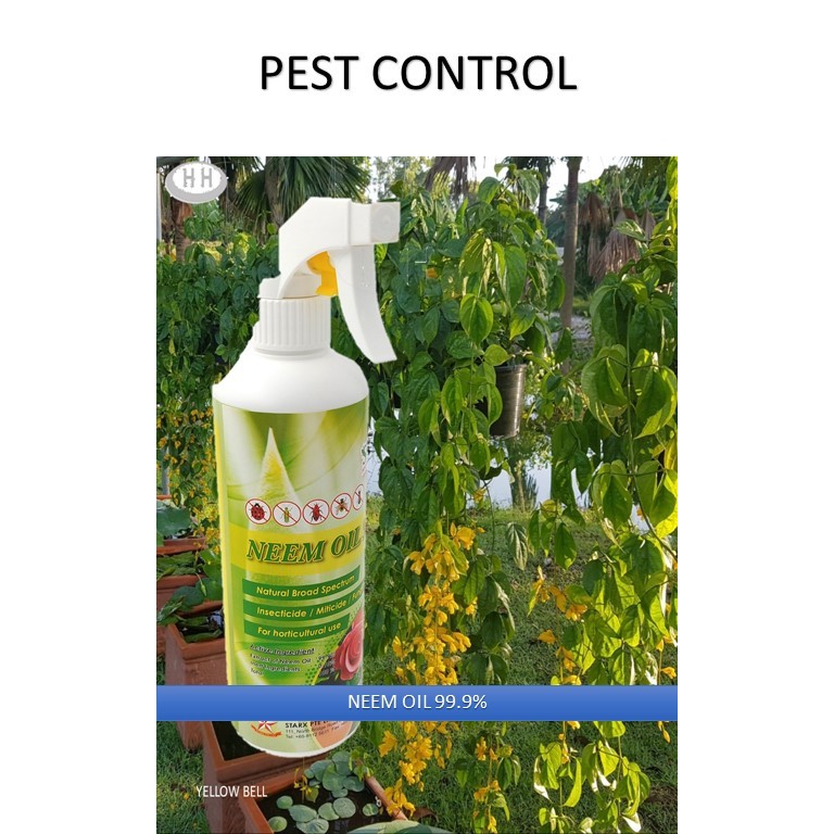 Neem Oil Fungicide Miticide Insecticide – RRFK
